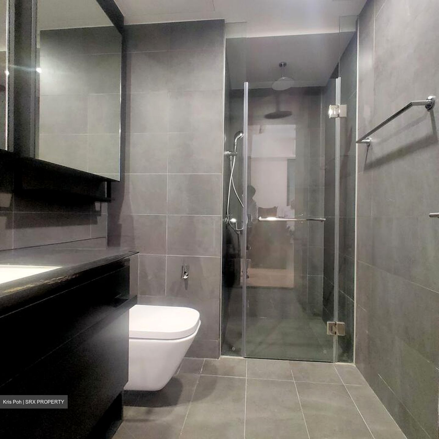 Park Colonial (D13), Condominium #578084241